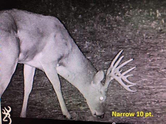 Attached picture Narrow 10 pt_a.jpg